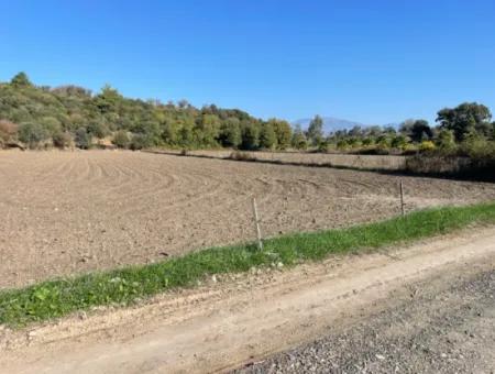 Eskiköyde Dalyan Yakın 6254M2 Satılık Tarla