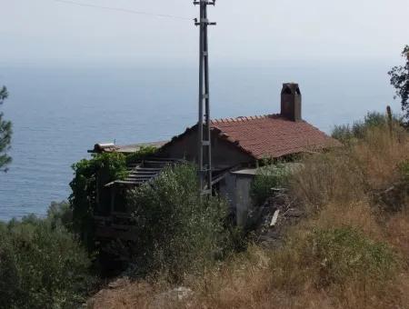 Akyaka Kandilli De Satılık Arsa 5000M2 Full Deniz Manzaralı Satılık Köy Evi Arsa