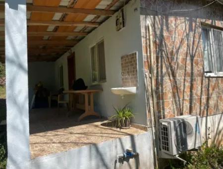 Zeytinalanın'da 5650M2 Tarla İçinde Satılık Köy Evi