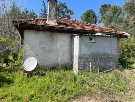 Zeytinalanın'da 5650M2 Tarla İçinde Satılık Köy Evi