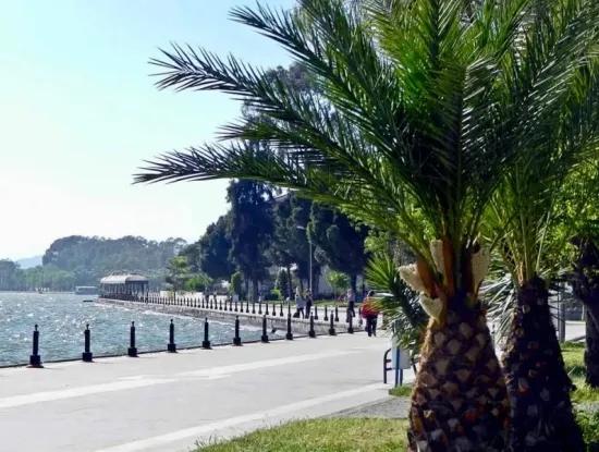 Köyceğiz Fotoğrafları